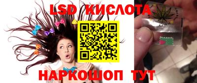 стаф Будённовск