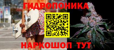 стаф Будённовск