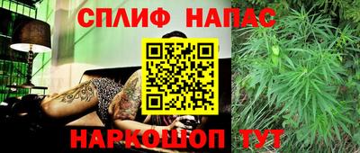 мяу мяу мука Бузулук