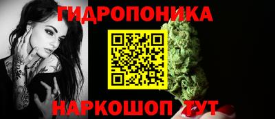 стаф Будённовск