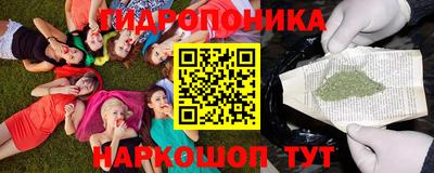 стаф Будённовск