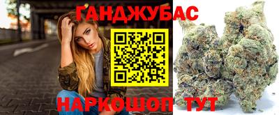 стаф Будённовск