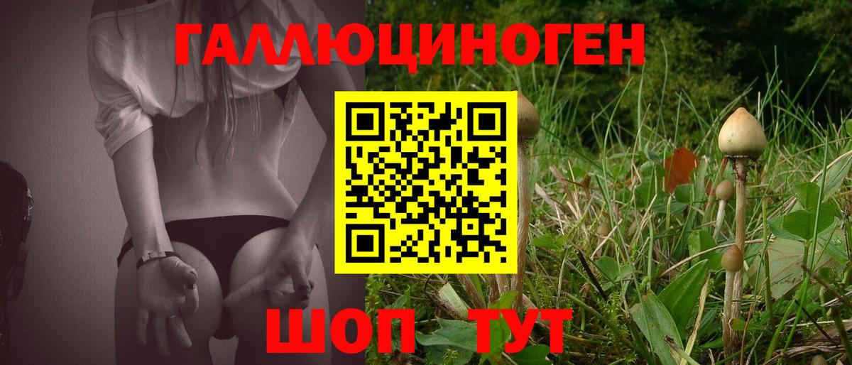 Нижнеудинск  Галлюциногенные грибы Magic Shrooms  Вход с VPN 